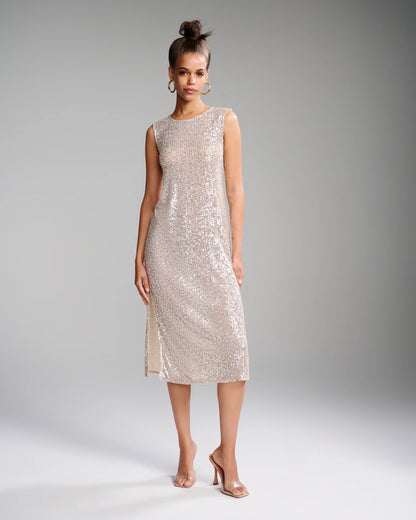 Sequin Mesh Midi Dress